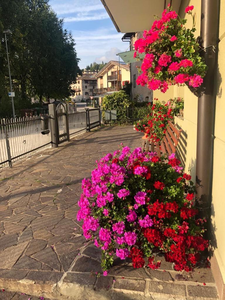 Appartamento Luminoso, Giardino, Vista Dolomiti. Baselga di Pinè Exteriér fotografie